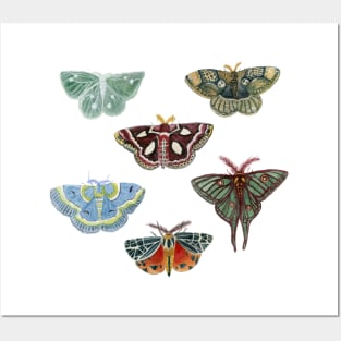 Watercolor Moths Posters and Art